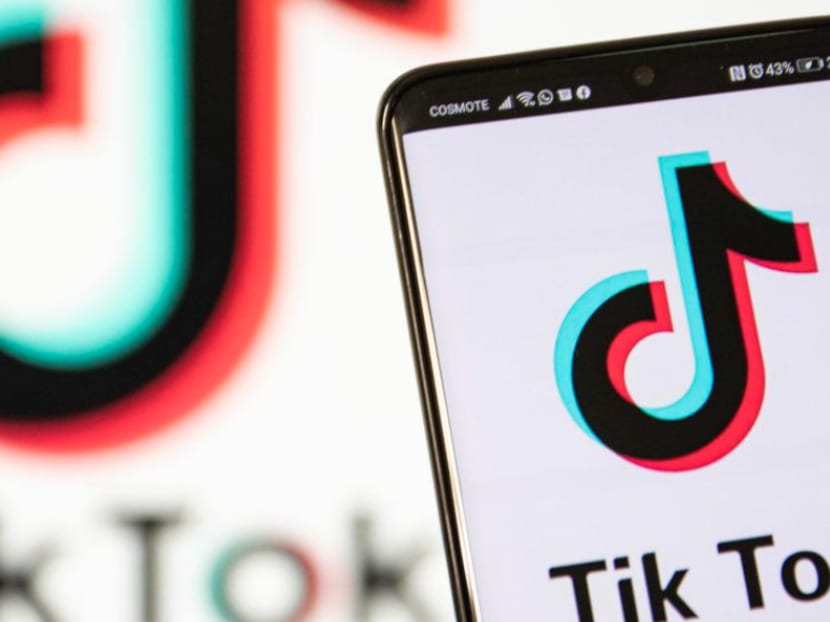 The “Devious Licks” challenge, which originated on social media platform TikTok in early September, is a viral trend where teenagers post video clips of themselves vandalising, damaging or showing off stolen property taken from schools, mostly from public bathrooms there. 