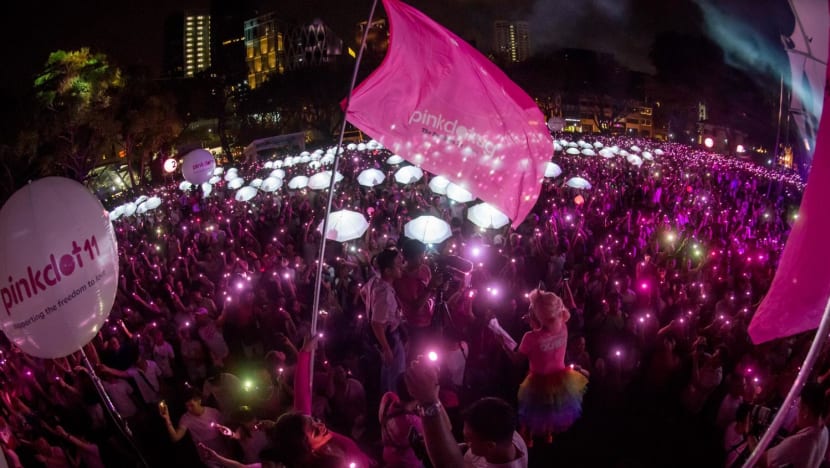 377A repeal: Parliamentarians must continue to be 'voice of the community', says Pink Dot