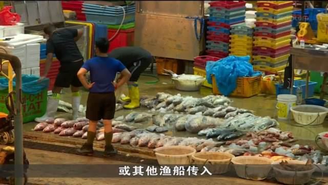印尼政府严格限制跨省市交易以及疫情 导致印尼渔获出口锐减