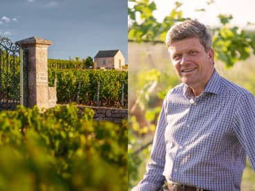 Plot by plot, a Burgundy winemaking scion builds his defence against climate change  