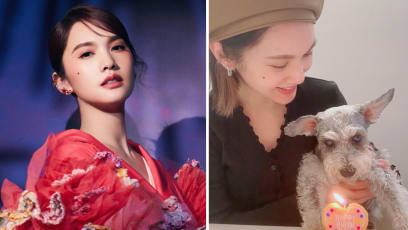 Rainie Yang Reveals That Her Beloved 17-Year-Old Dog Passed Away In February