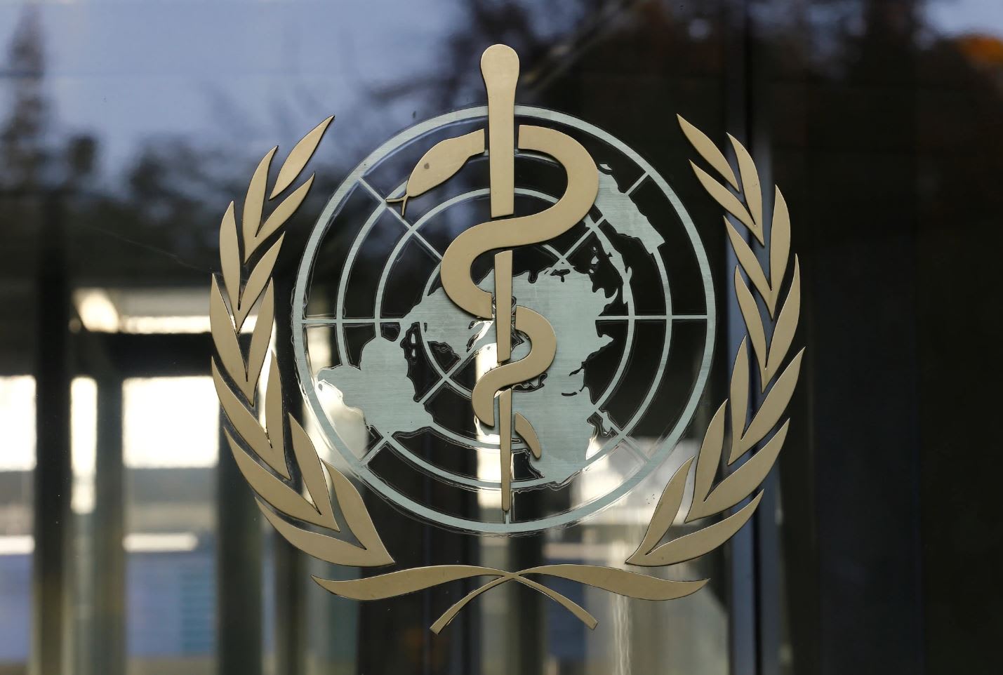 ‘We believe monkeypox outbreak can be stopped’: WHO official ‘We believe monkeypox outbreak can be stopped’: WHO official