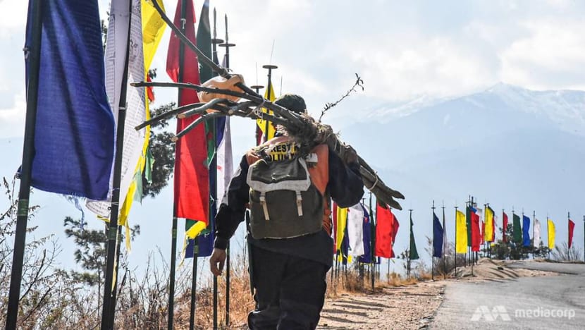 Bhutan’s tree warrior: Spreading life in the world’s most climate conscious nation