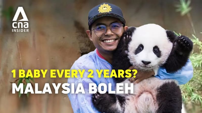 malaysia panda keeper