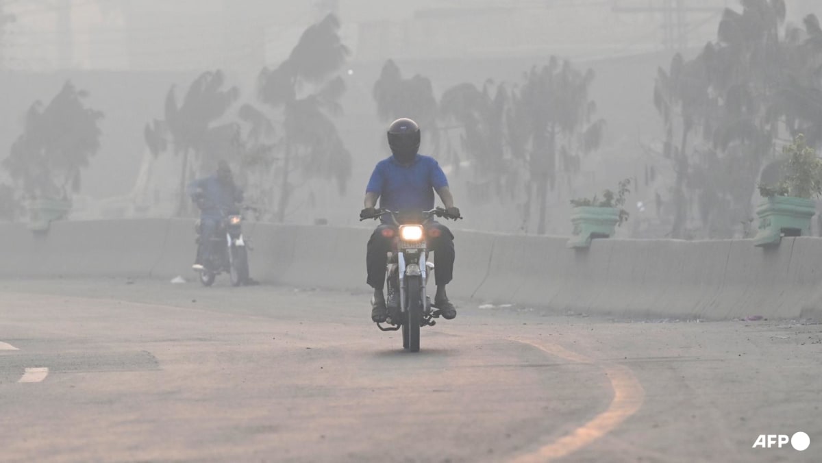 Pollution level in Pakistan megacity hits new high: Official Pollution level in Pakistan megacity hits new high: Official