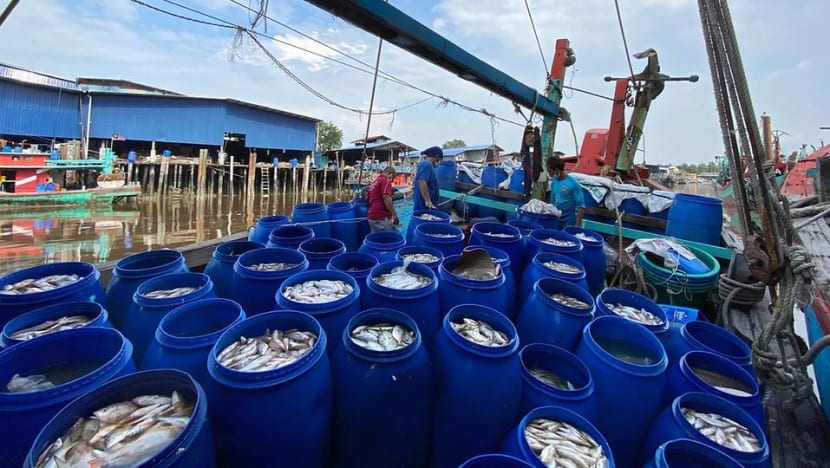 IN FOCUS: Changing weather patterns a bane for Malaysia's fishery sector IN FOCUS: Changing weather patterns a bane for Malaysia's fishery sector