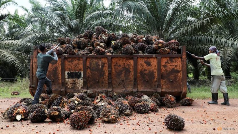 Malaysia palm oil firm Kulim receives first post-pandemic migrant workers Malaysia palm oil firm Kulim receives first post-pandemic migrant workers