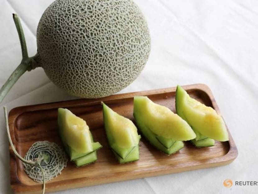 Music and massage: Malaysian farmers attempt to grow prized Japanese muskmelons