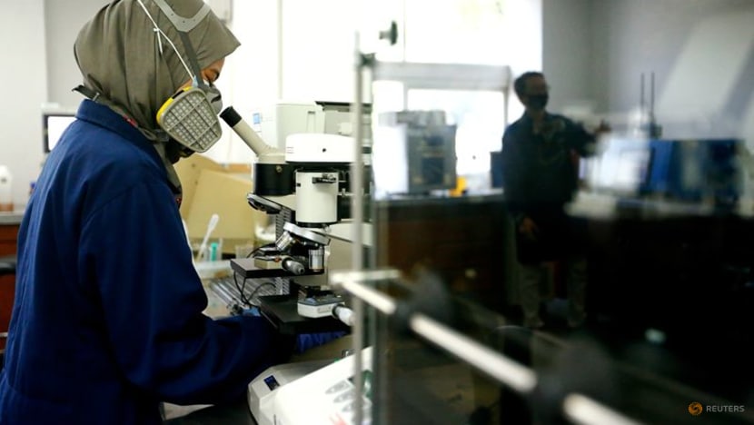 Indonesia plans to hike biodiesel mandate in next few years Indonesia plans to hike biodiesel mandate in next few years