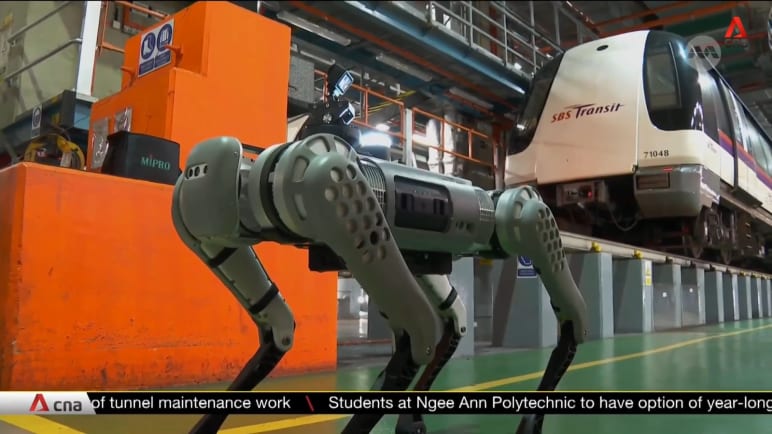 SBS Transit to explore use of robot dogs, AI on NEL | Video