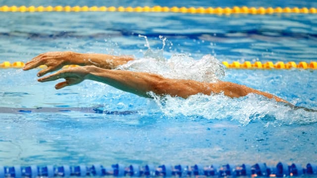 首个东南亚国家 我国将主办2025年游泳世锦赛