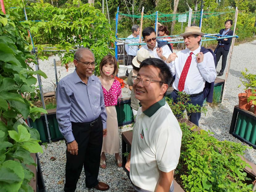 Minister for the Environment and Water Resources Masagos Zulkifli and Senior Minister of State Amy Khor touring community plant beds that grow local produce in Jurong Lake Gardens.