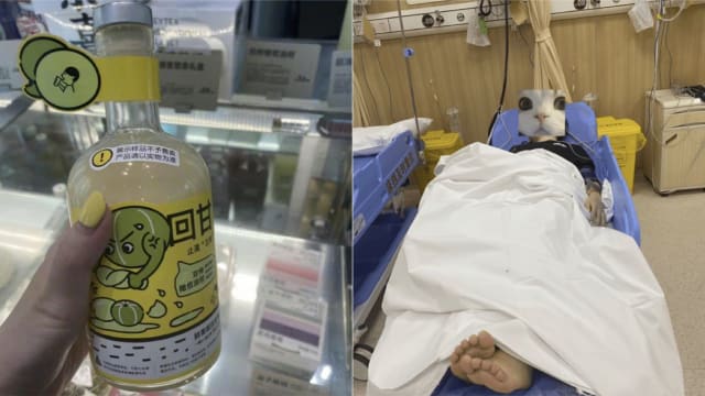上海喜茶店员错给仿真样品 顾客喝后入院洗胃