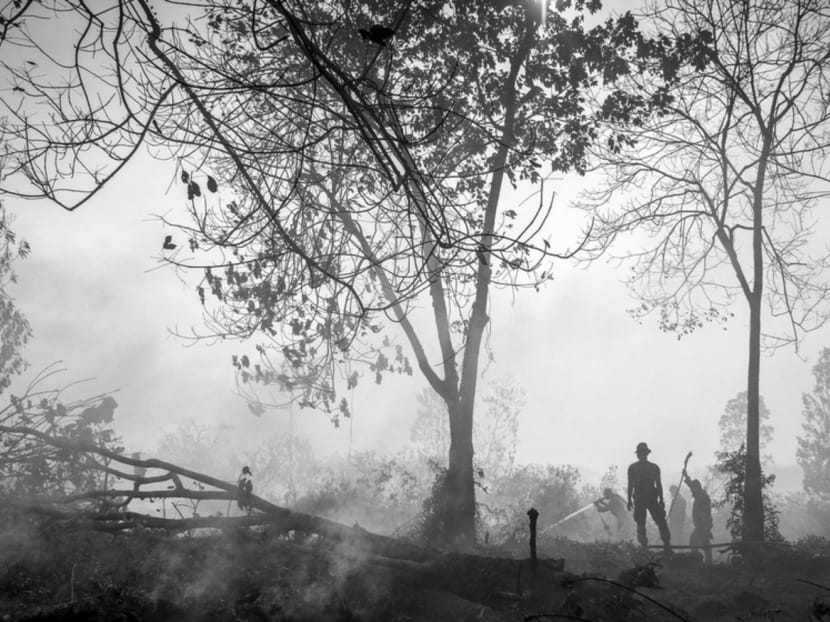 Indonesian police dousing a peatland fire in Riau last month. Firefighting costs are now heading towards S$70 million per week, financed by Indonesian taxpayers at a time of slowing growth. Photo: Reuters Indonesian police dousing a peatland fire in Riau last month. Firefighting costs are now heading towards S$70 million per week, financed by Indonesian taxpayers at a time of slowing growth. Photo: Reuters