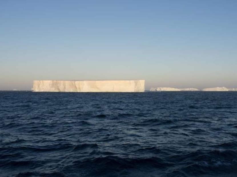 Robot gliders probe huge iceberg's impact on penguin island's ecosystem Robot gliders probe huge iceberg's impact on penguin island's ecosystem