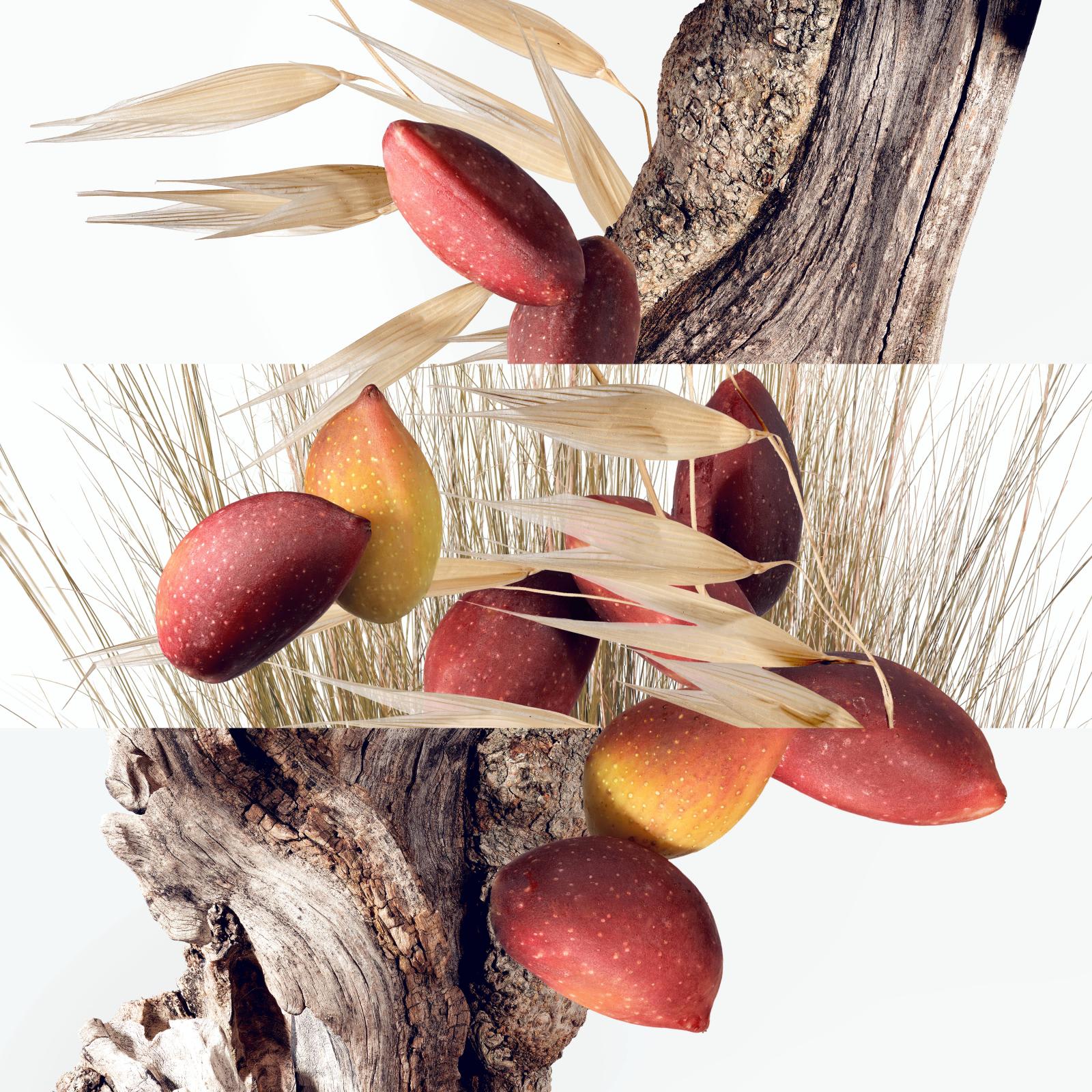 Choosing a scent should be instinctive Christine Nagel perfumer