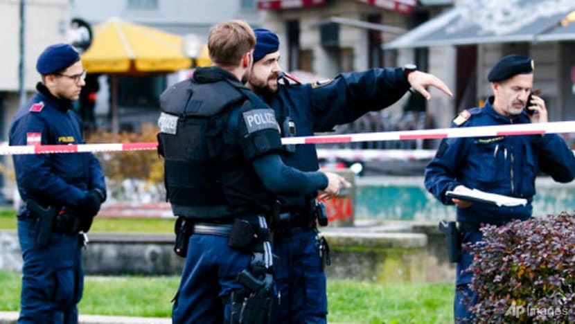 At least one Islamic State sympathiser behind Vienna attack, Austrian minister says