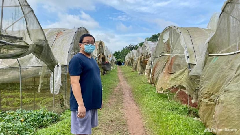 IN FOCUS: How climate change can threaten food production in Singapore IN FOCUS: How climate change can threaten food production in Singapore