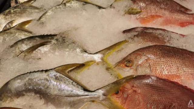 马国部长：鱼类供应将在这个月内恢复正常