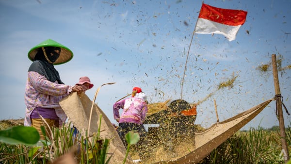 Analysis: Indonesia, China aim to co-develop 1 million hectares of rice fields. How might it affect their ties?