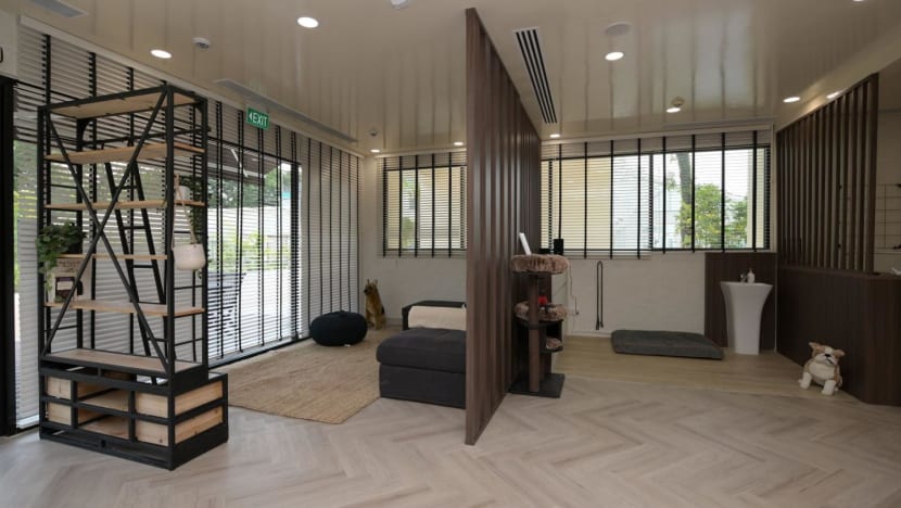Singapore opens first dedicated facility for animal behavioural rehabilitation Singapore opens first dedicated facility for animal behavioural rehabilitation