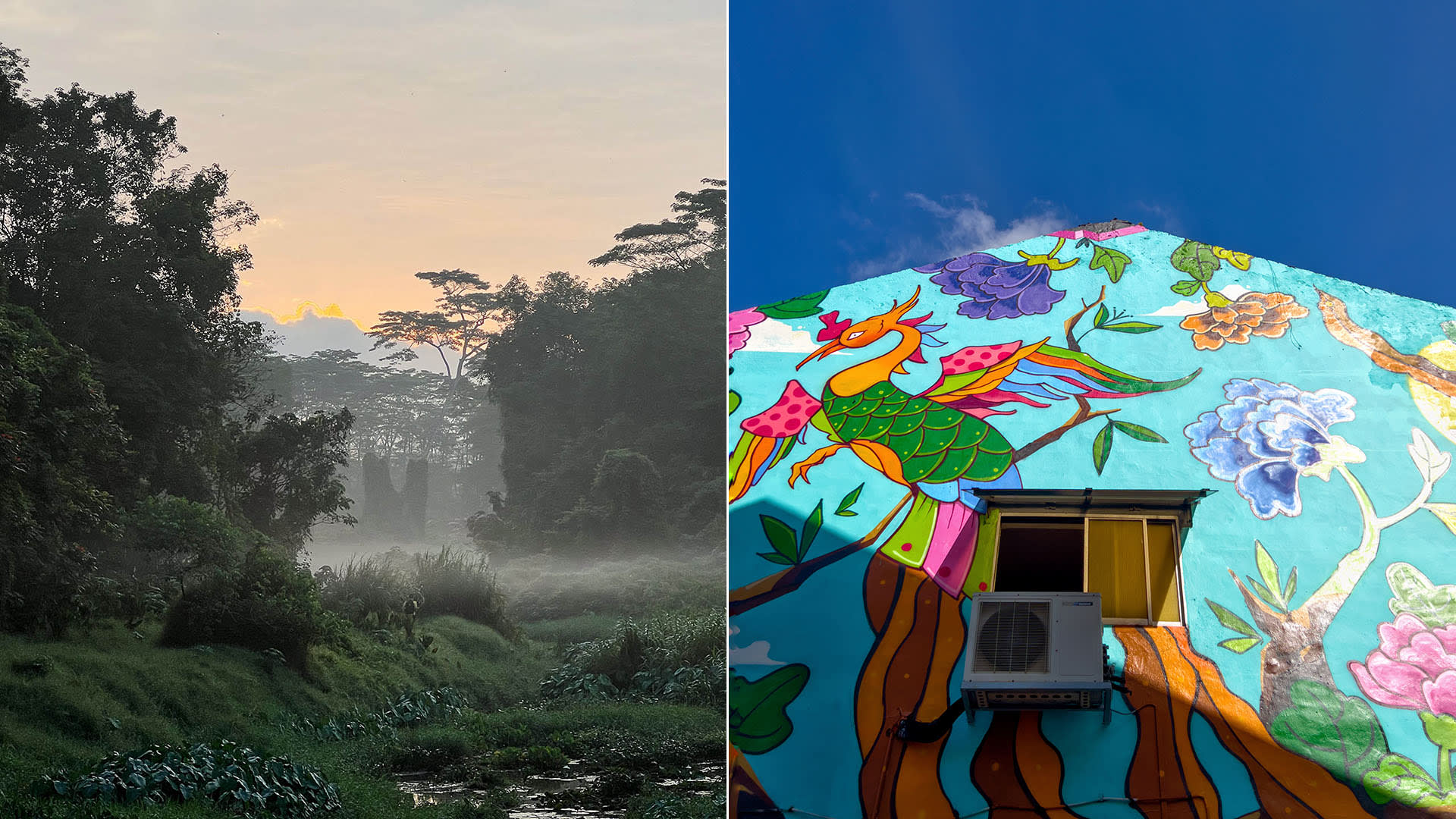Places In Singapore That Don’t Look Like Singapore, As Shot By Local Photographers Using Only Their Phones Places In Singapore That Don’t Look Like Singapore, As Shot By Local Photographers Using Only Their Phones