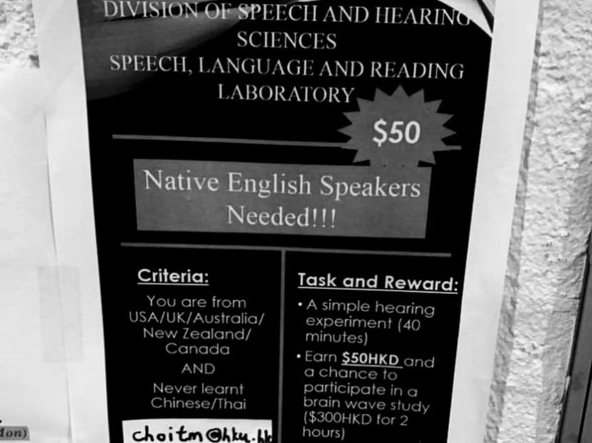 A university ad in which associations between ‘native English speakers’ and particular nationalities were made. Photo: Luke Lu