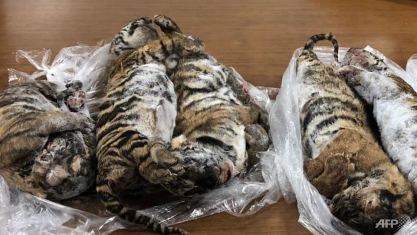 Seven dead tigers found in car in Vietnam Seven dead tigers found in car in Vietnam