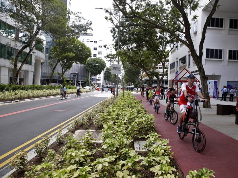 The cycling track at the revitalised Bencoolen Street on May 28, 2017. Photo: Wee Teck Hian/TODAY