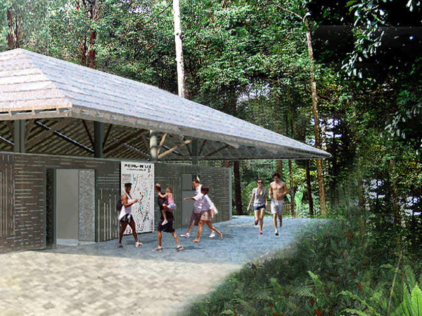 Bukit Timah Nature Reserve to be closed for 6 months: NParks