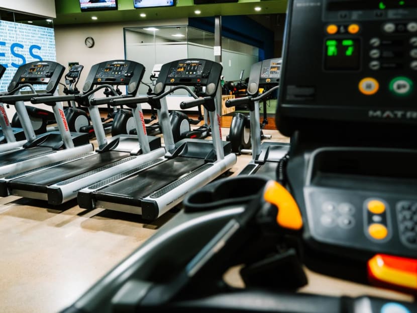 True gym 2025