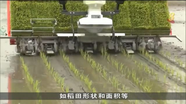日本贺茂县采用自动插秧机 比农夫更精准快速