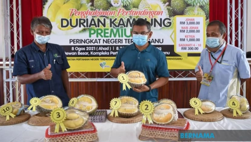 Durian kampung Terengganu setaraf Musang King bakal tembusi pasaran dunia