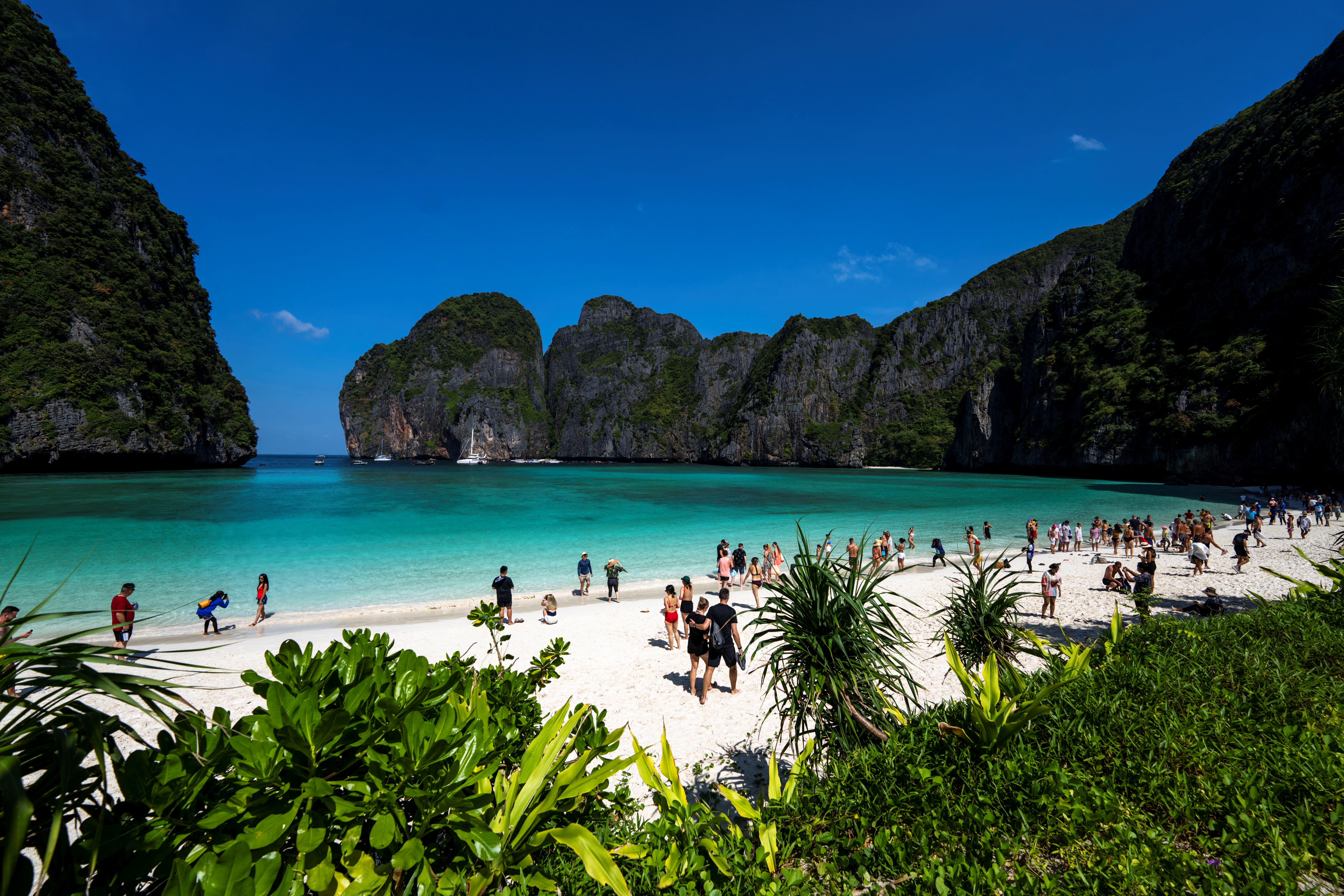 Thailand allows visitors back to beach made famous by movie Thailand allows visitors back to beach made famous by movie