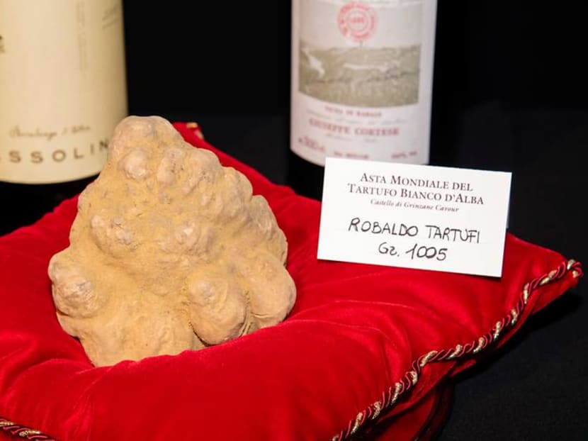 For one night only, bid on the heftiest white truffle – all proceeds go to charity For one night only, bid on the heftiest white truffle – all proceeds go to charity