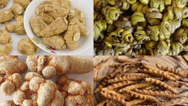 名贵中药材　以“四大天王”最滋补