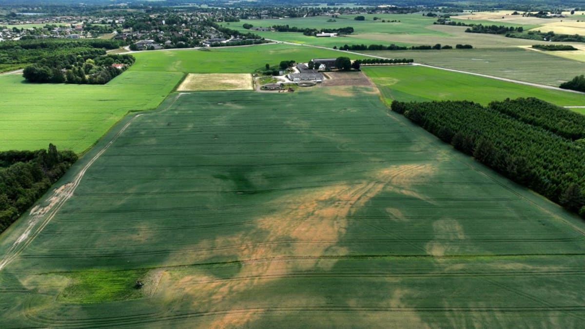 Denmark to convert 15% of farmland to forest to cut fertiliser use Denmark to convert 15% of farmland to forest to cut fertiliser use