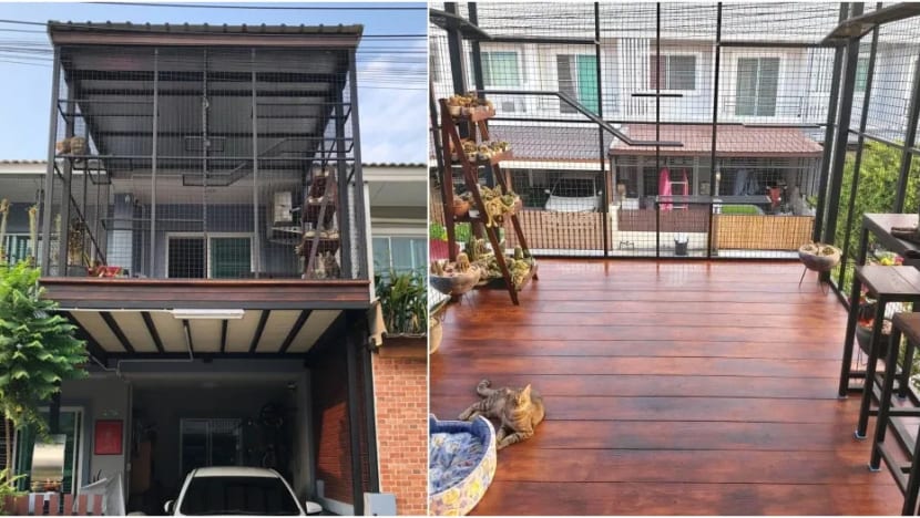 Wanita ini belanja lebih S$3,500 bina 'tempat lepak' atas rumah untuk kucing kesayangan