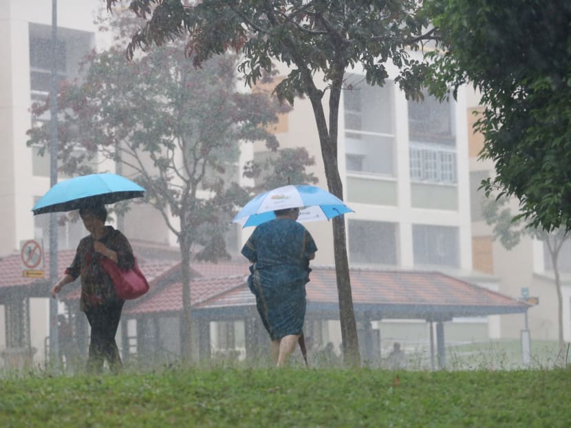 On most days in the first two weeks of 2021, moderate thundery showers are expected in the afternoons. This may extend into the evenings on some days.