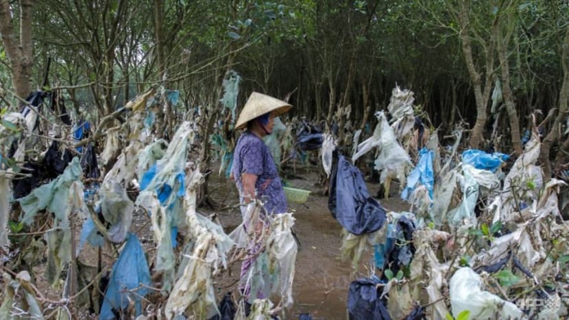 Plastic wasteland: Asia's ocean pollution crisis Plastic wasteland: Asia's ocean pollution crisis