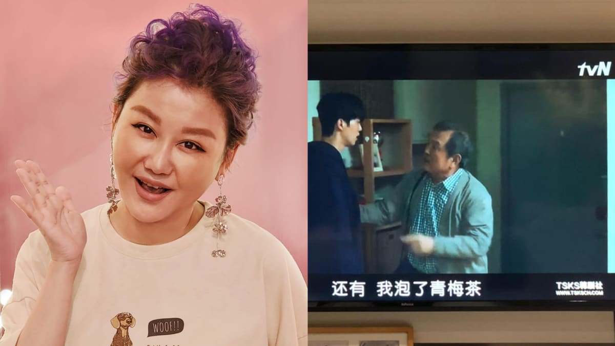 Lan HsinMei, Who’s Worth S72mil, Apologises For Watching KDrama On