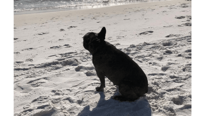 Carry Fisher latest news & coverage - 8days