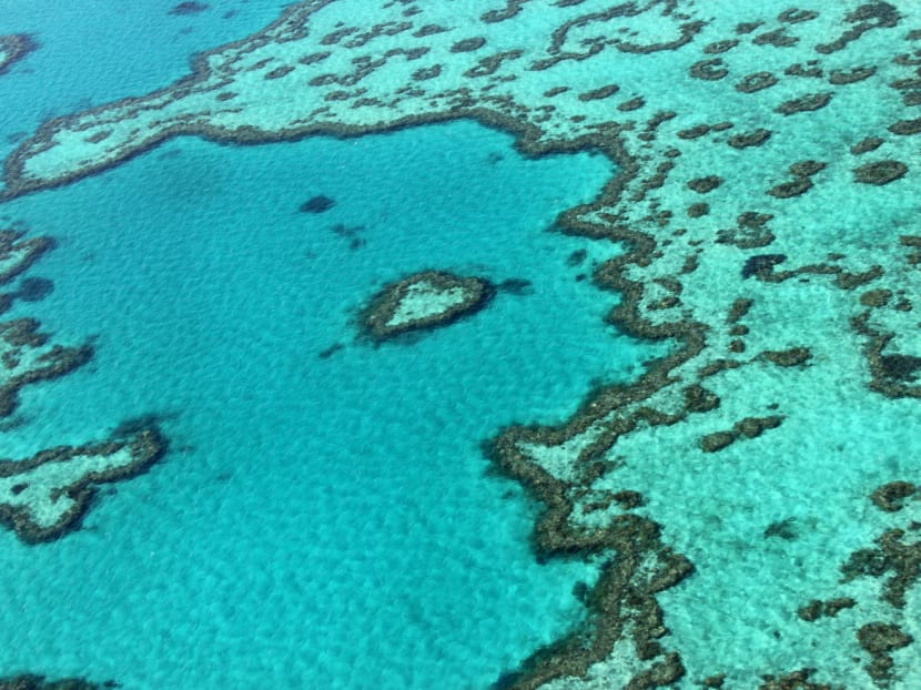 The study’s valuation of the Great Barrier Reef shows that the natural wonder, as an economic driver for Australia, is ‘too big to fail’, says Great Barrier Reef Foundation director Steve Sargent. PHOTO: AFP