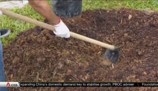 Marymount estate steps up social support, sustainability programmes | Video