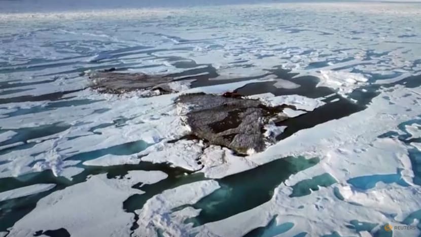 Greenland expedition discover 'world's northernmost island' Greenland expedition discover 'world's northernmost island'