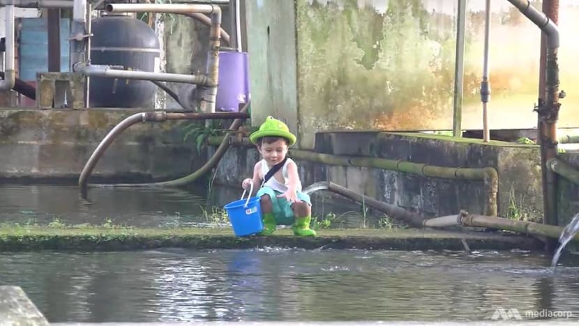 Singapore adaptation of Old Enough! to return with third season, spotlighting young 'COVID-19 generation' Singapore adaptation of Old Enough! to return with third season, spotlighting young 'COVID-19 generation'