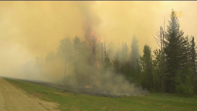 加拿大东部林火受控 但西部林火再次扩散