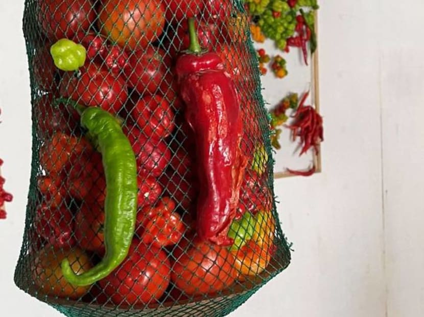 Nigerian artist creates rotting exhibit as coronavirus warning Nigerian artist creates rotting exhibit as coronavirus warning