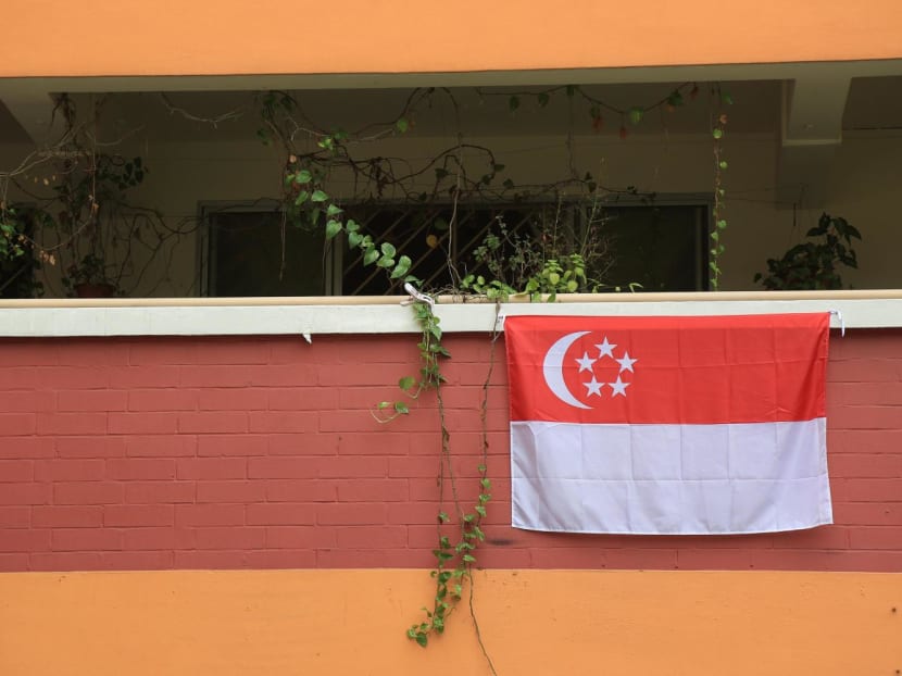 State flag description in new National Symbols Bill shows effort to be more gender-neutral State flag description in new National Symbols Bill shows effort to be more gender-neutral