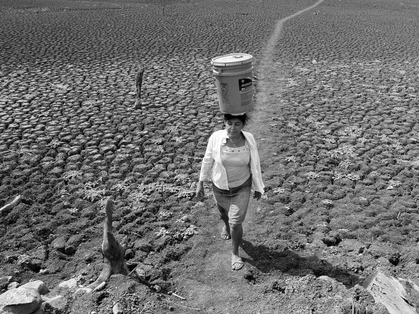 A woman carrying a bucket of water in Santa Isabel, Nicaragua, earlier this week. Low rainfall linked to the El Nino phenomenon has led to drought in parts of Central America. PHOTO: REUTERS